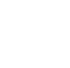 North Star Arms